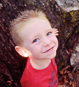 电话轰在线轰炸免费下载